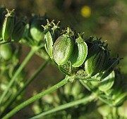 IMG_9832