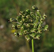 IMG_9835