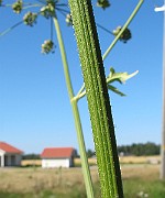 IMG_9837