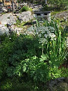 IMG_6929