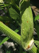 IMG_6939