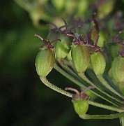 IMG_4790