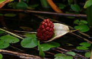 IMG_1924