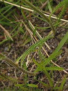IMG_6322