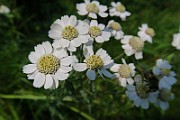 IMG_0176