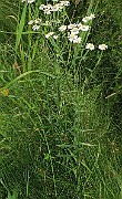 IMG_0178