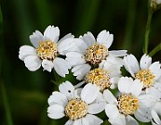 IMG_1953