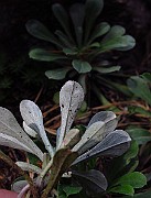 IMG_3638