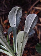 IMG_3639