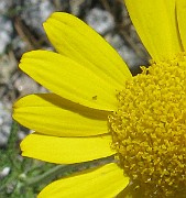 IMG_4280b