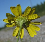 IMG_4284