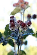 IMG_1928