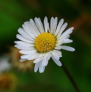 IMG_6828