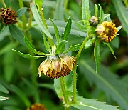 IMG_1895