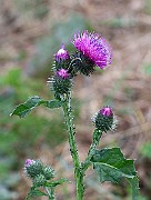 IMG_1088