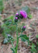 IMG_1090