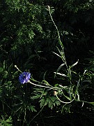 IMG_4802