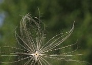 IMG_3605