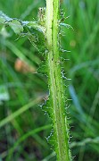 IMG_3301