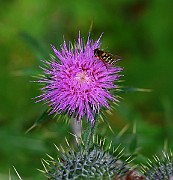 IMG_6876