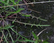 IMG_2437
