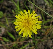IMG_2440