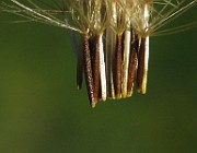 IMG_2443