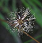 IMG_2446