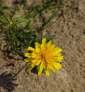 IMG_2549