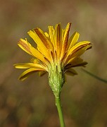 IMG_2551