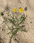 IMG_2553