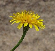 IMG_2556