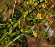IMG_6255