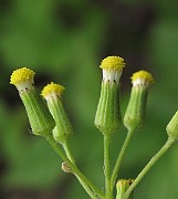 IMG_9325