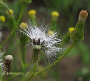 IMG_9326