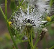 IMG_9327