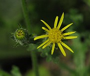 IMG_3434