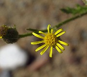 IMG_3946