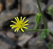 IMG_9258