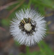IMG_9277