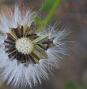 IMG_9281