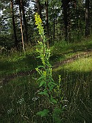 IMG_2837