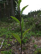 IMG_5275