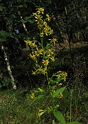 IMG_8131