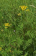 IMG_0157