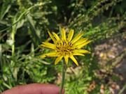 IMG_7104