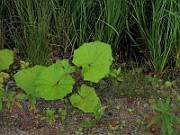 IMG_9339