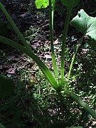 IMG_9817