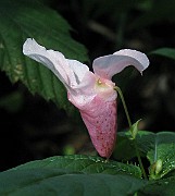 IMG_3682