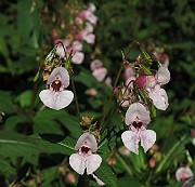 IMG_8664